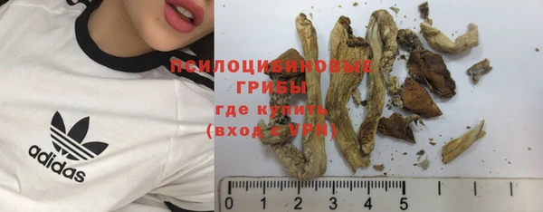 ешки Алексин