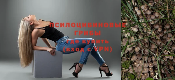 ешки Алексин