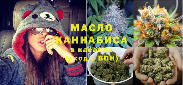 дурь Няндома